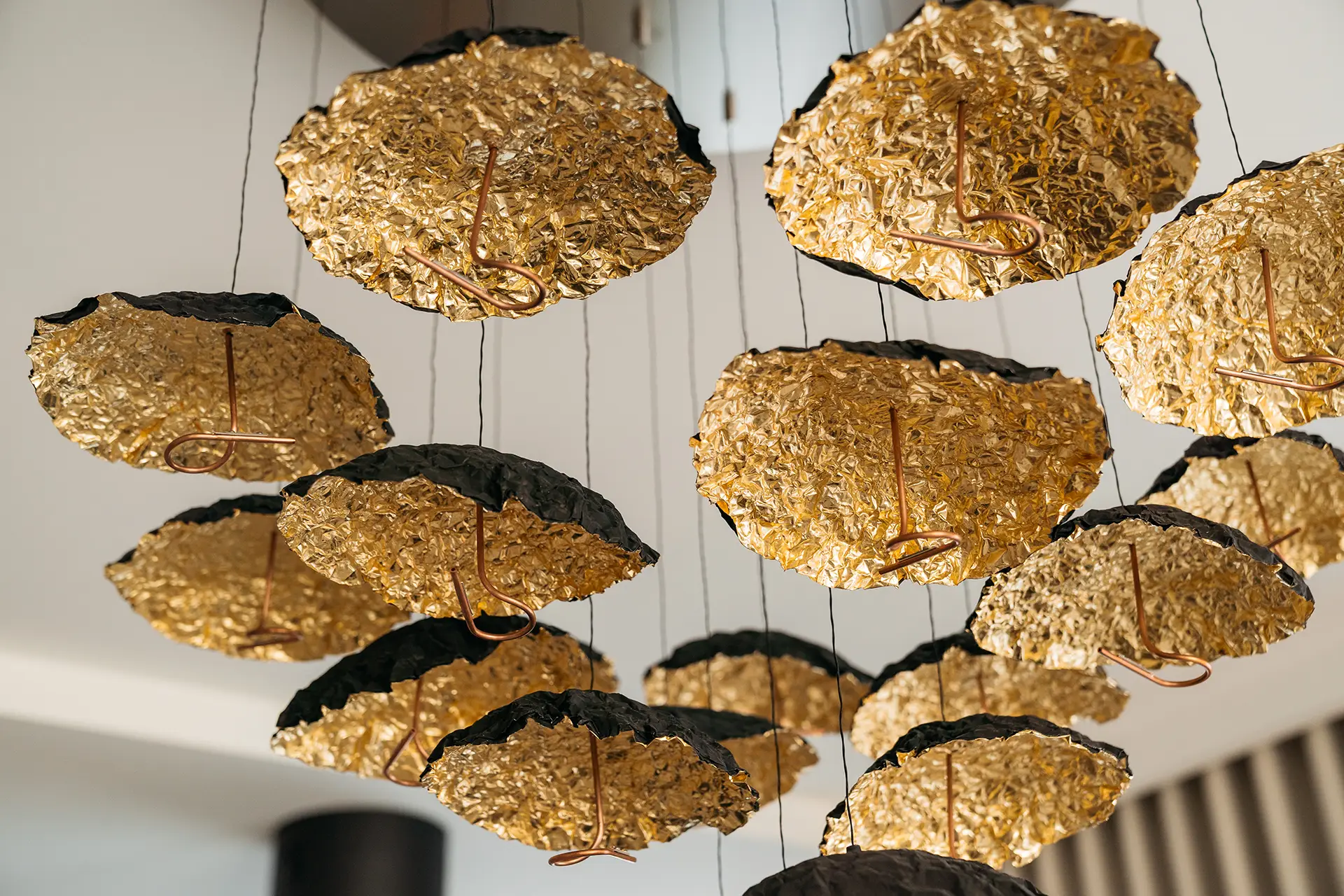 omnicreatio projektanci omnicreatio projektanci